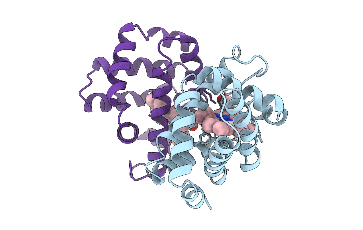4SDH image