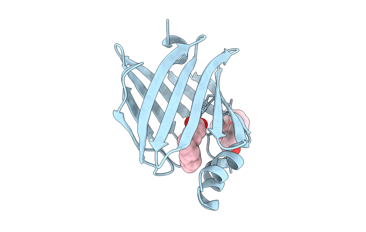 4TKH image