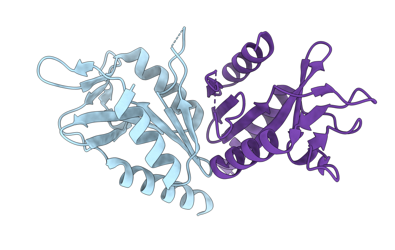 4TKK image