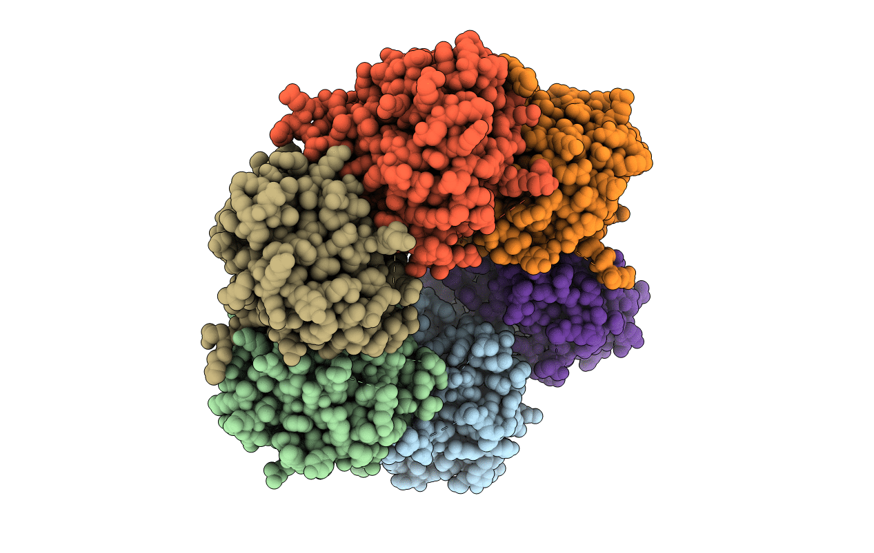 4TLB image