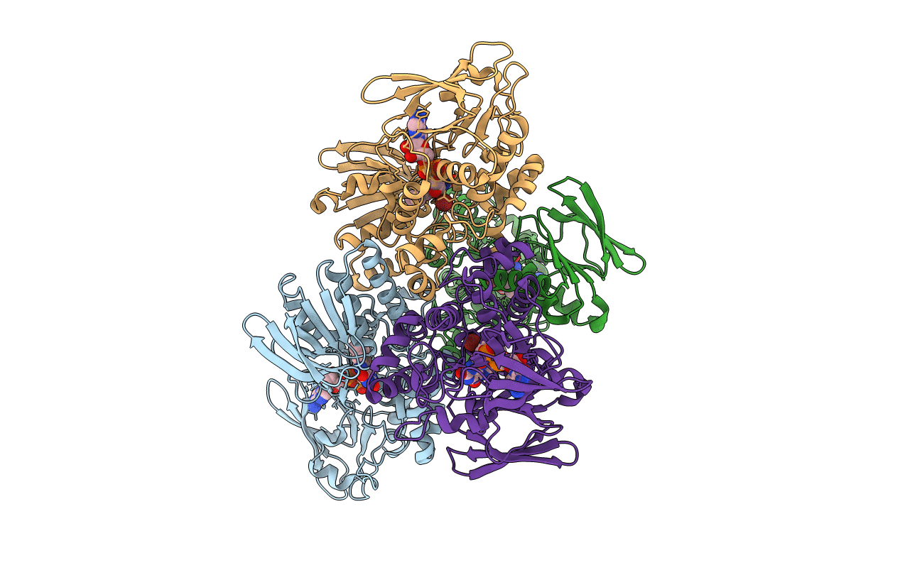 4TM3 image
