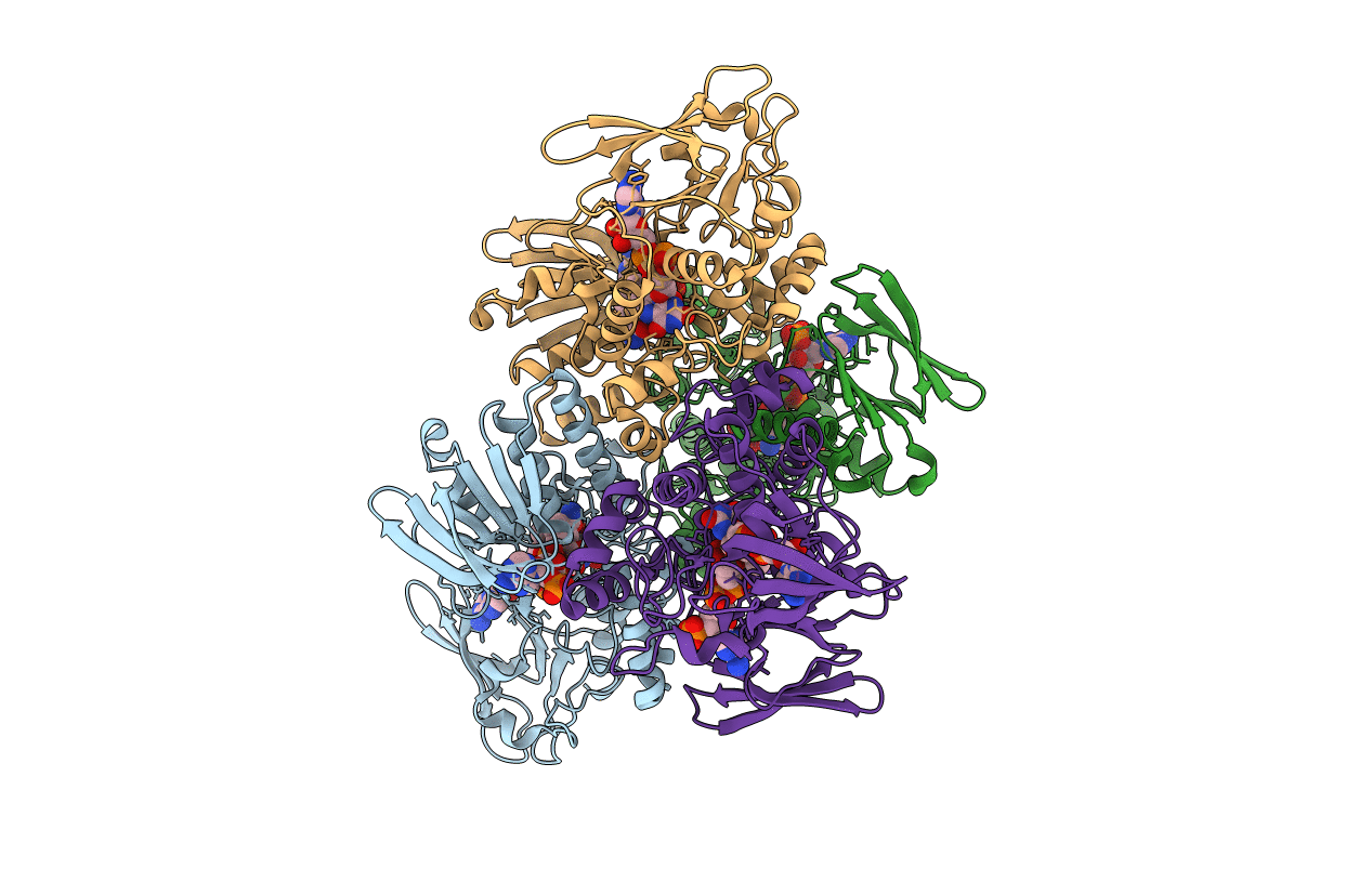 4TM4 image