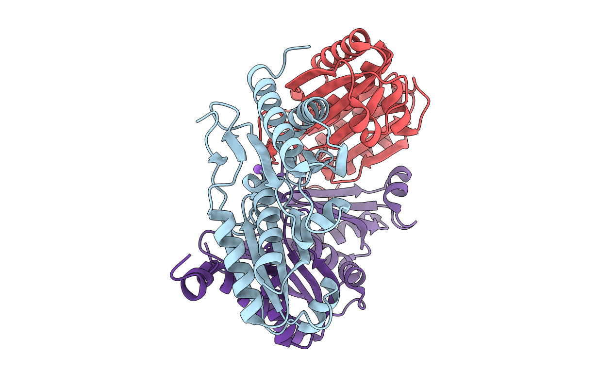 4TM6 image