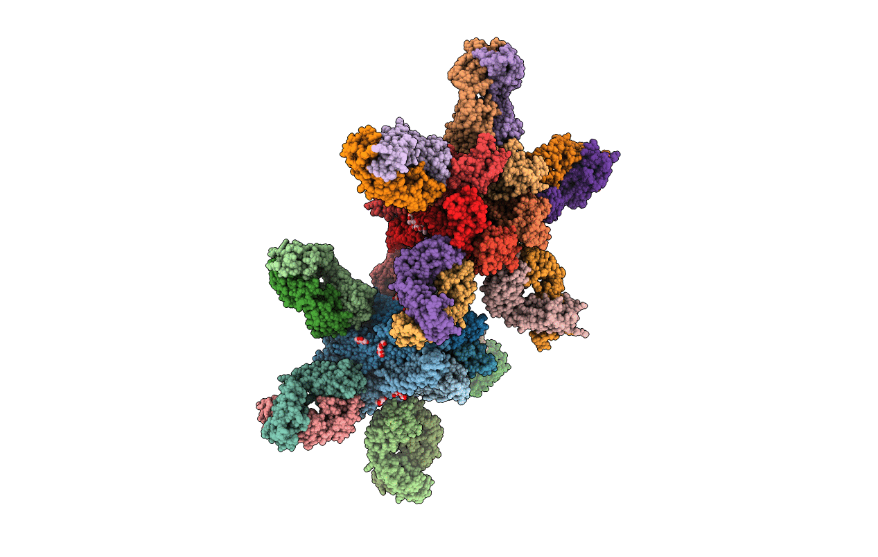4TNV image