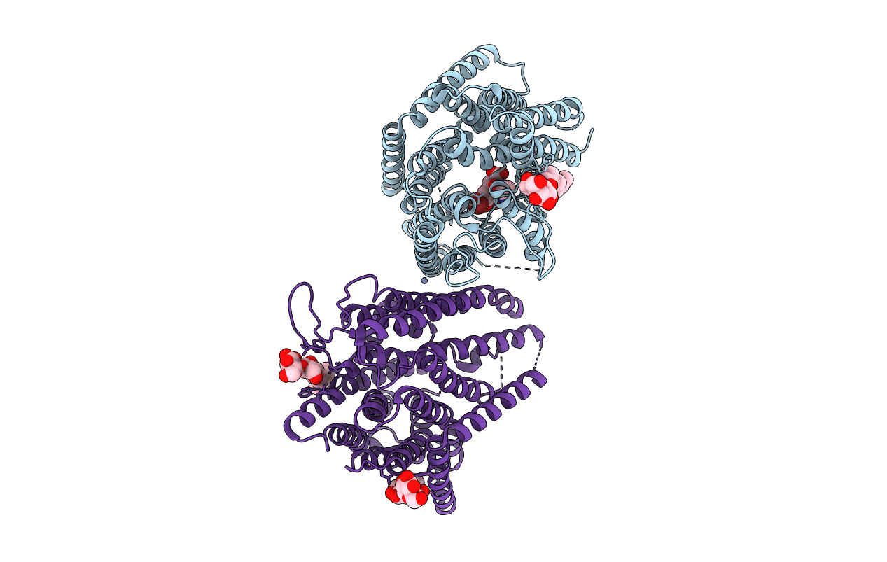 4tph image
