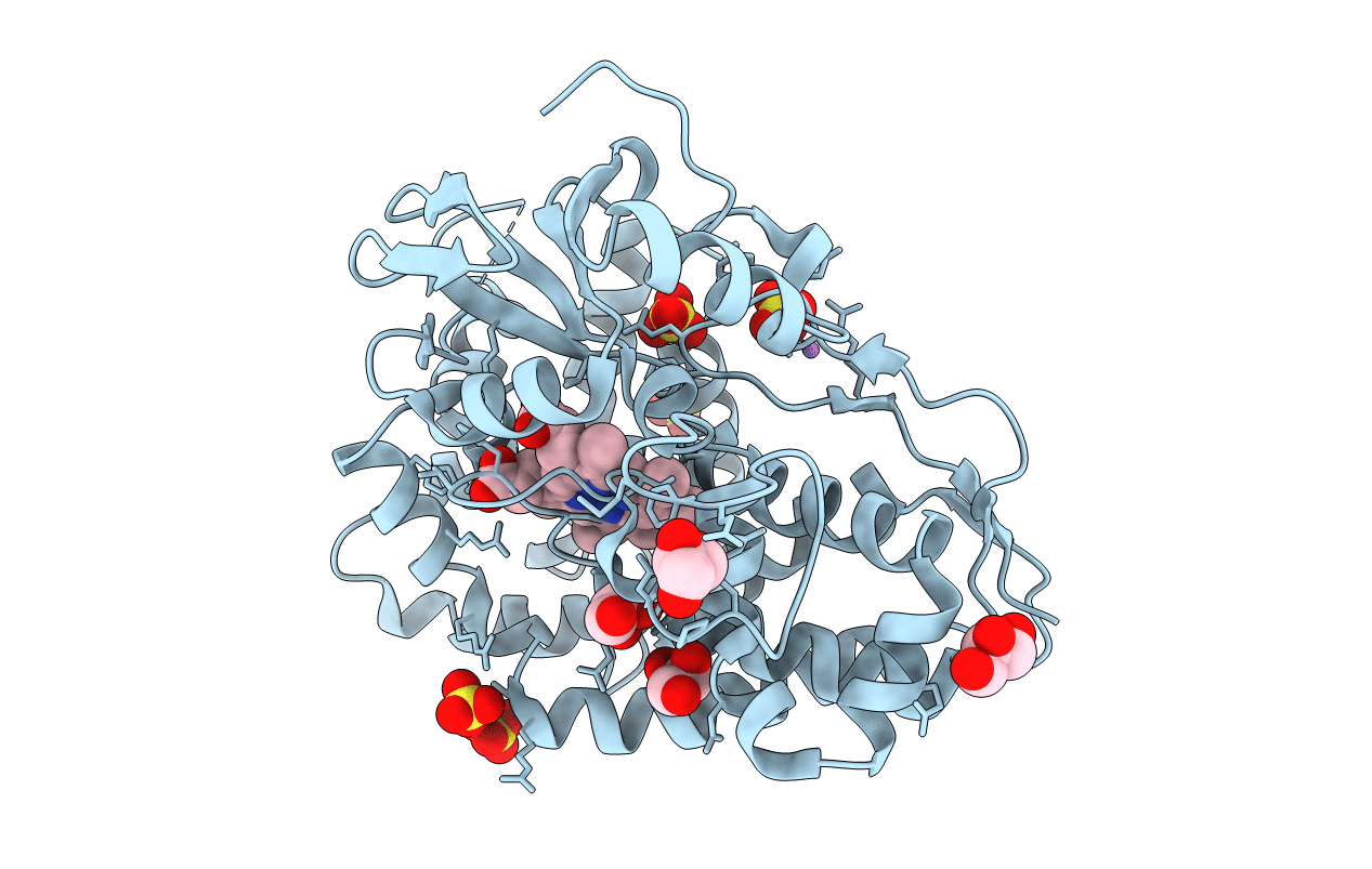 4TPN image