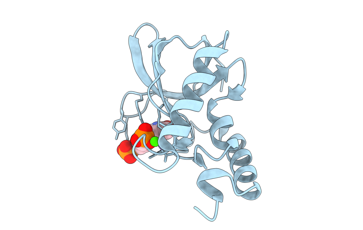 4TRD image
