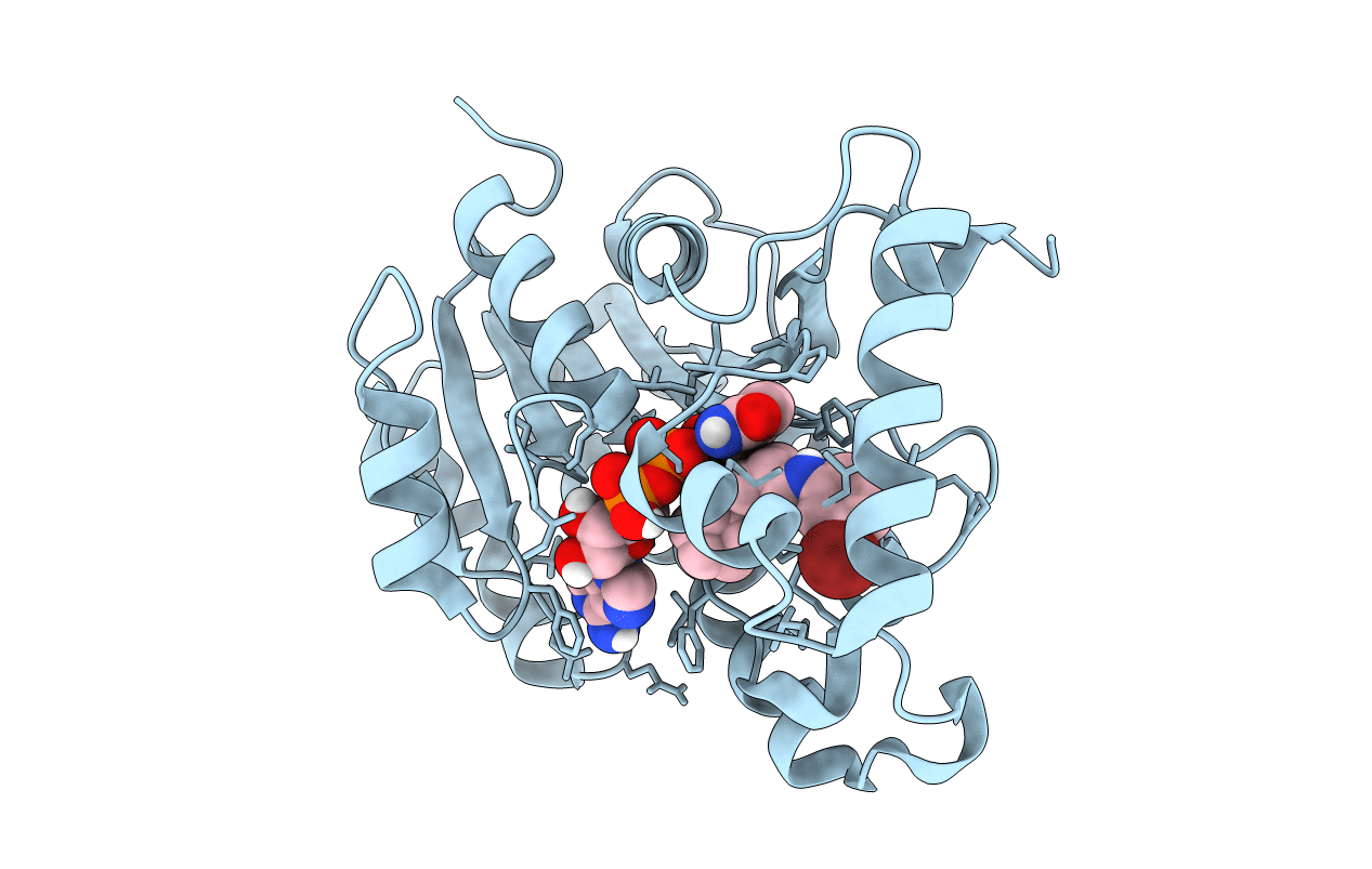 4TRJ image