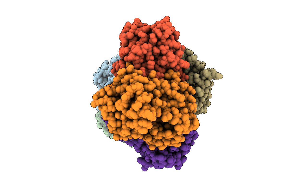 4TRM image