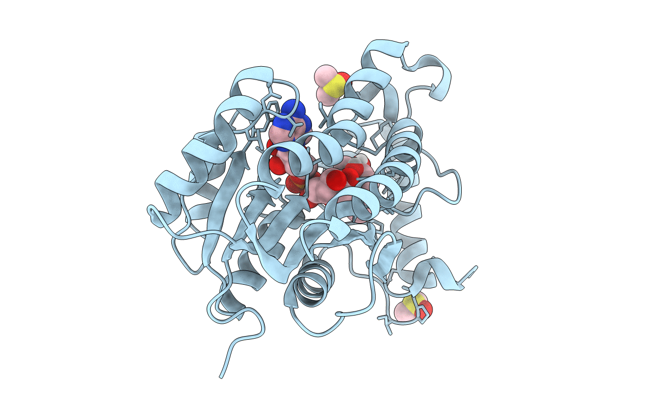 4TRN image