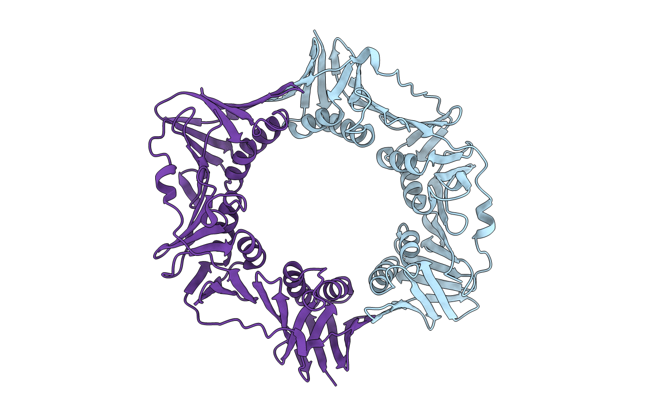 4TRT image
