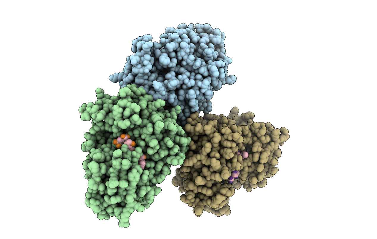 4TRW image