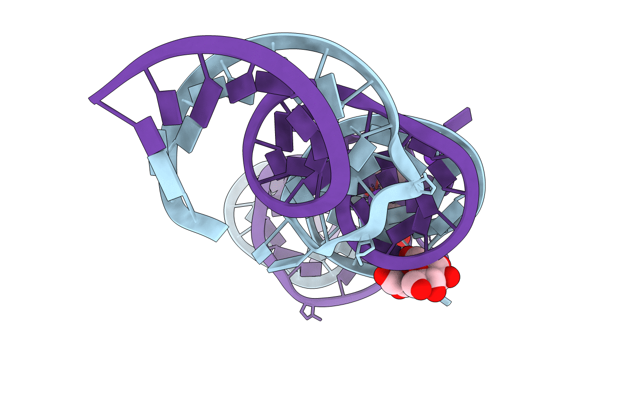 4TS2 image