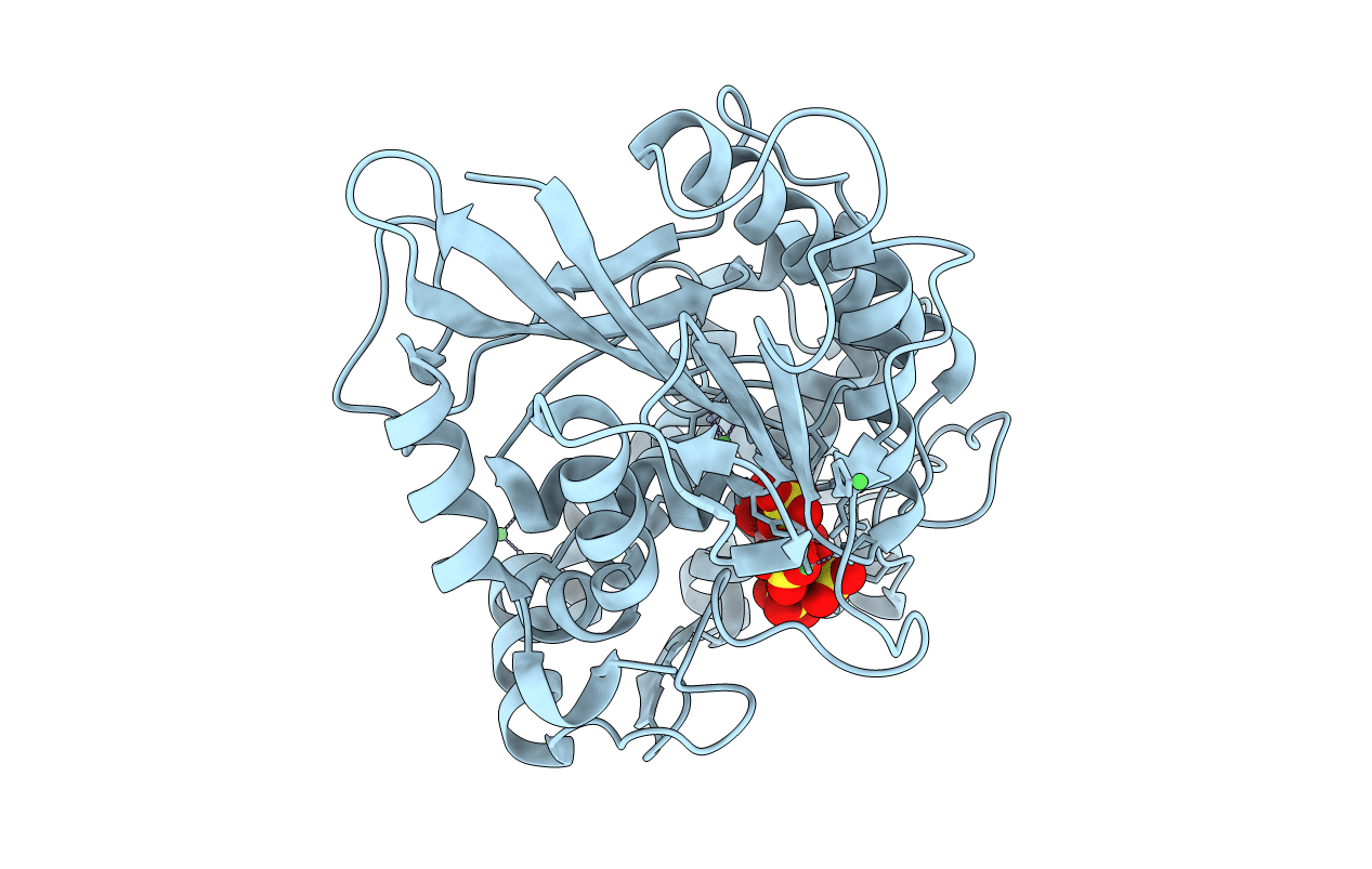 4TSR image