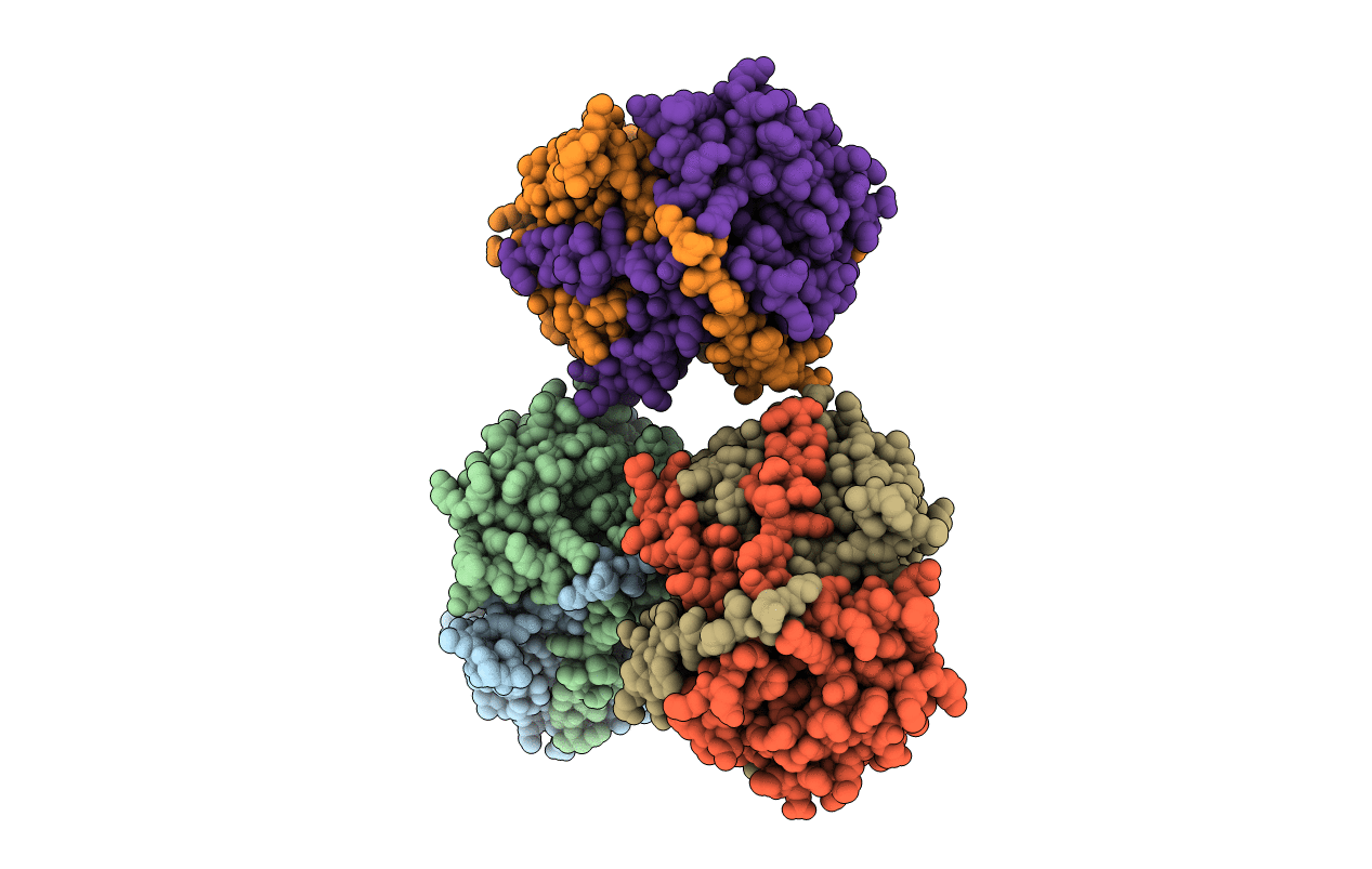 4TTC image