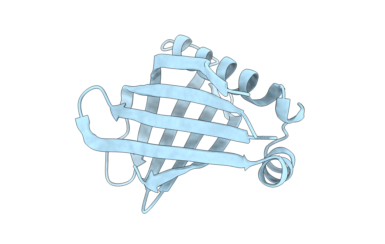 4TTW image