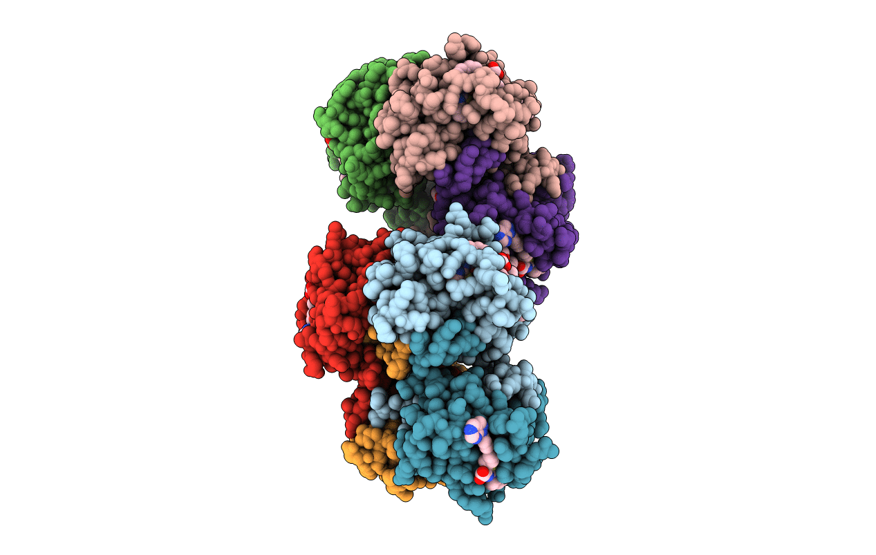 4TUH image
