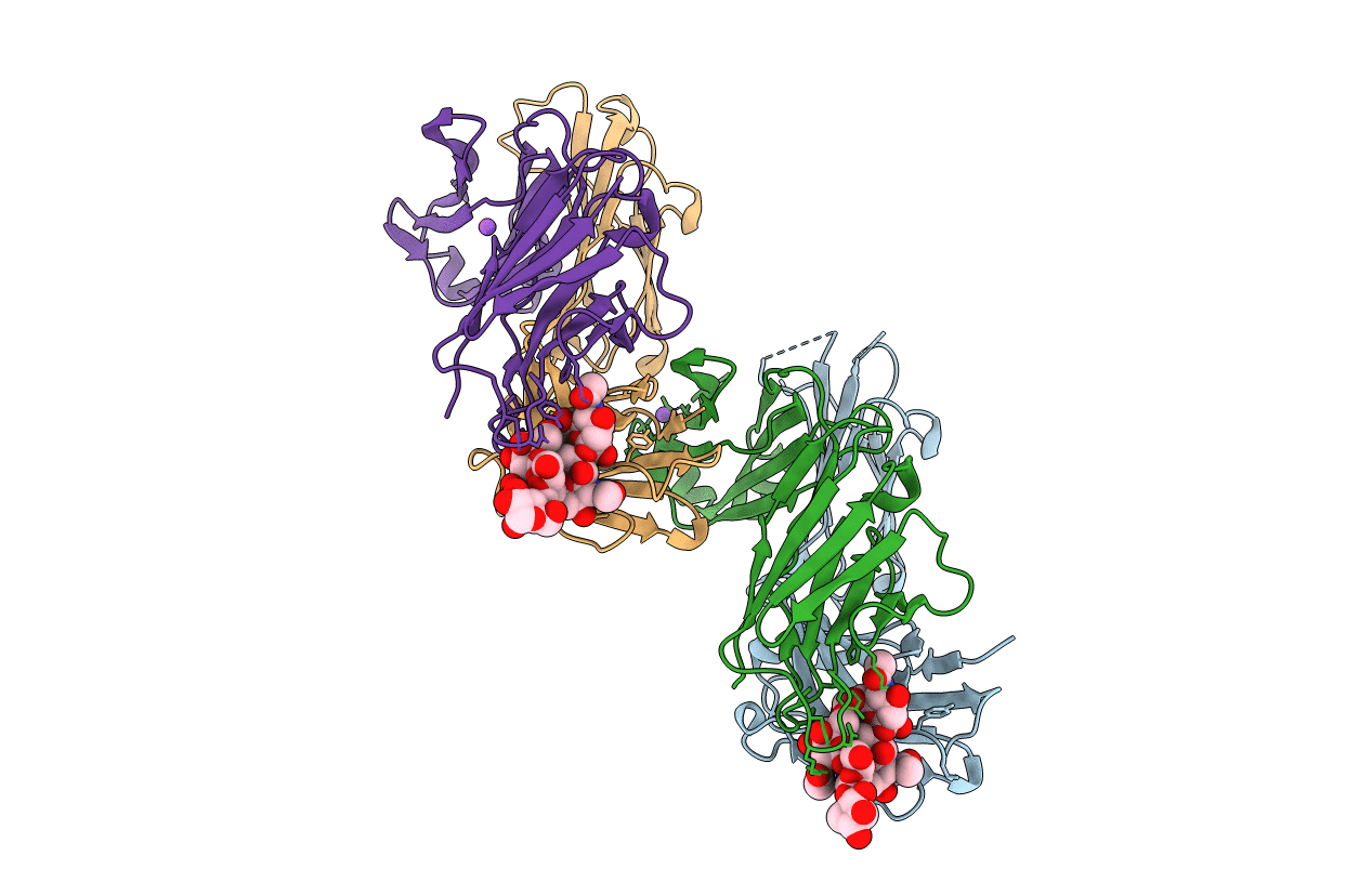 4TUO image