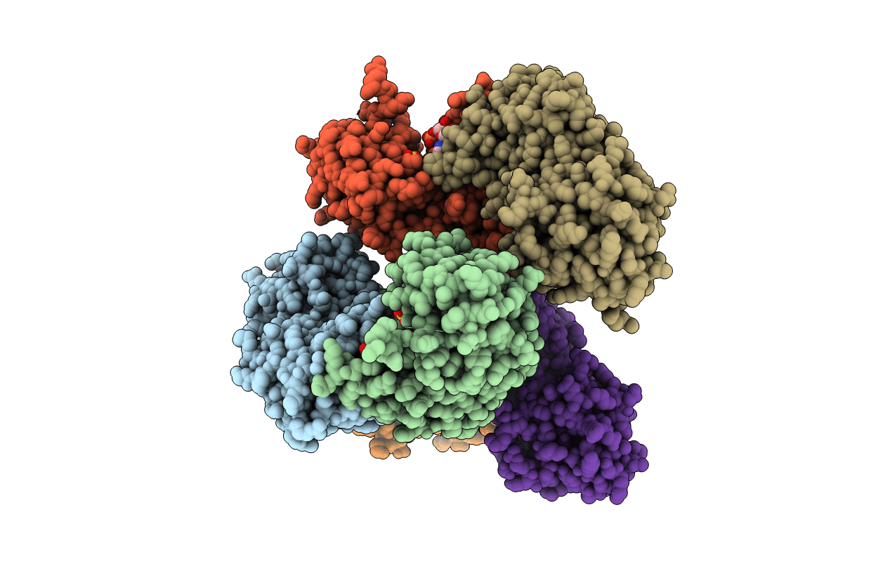 4TWB image