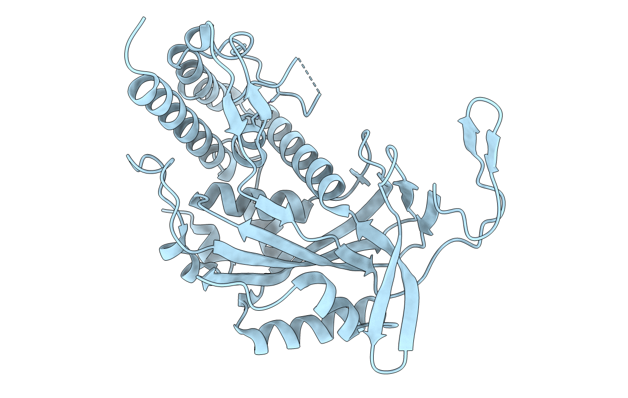 4TXD image