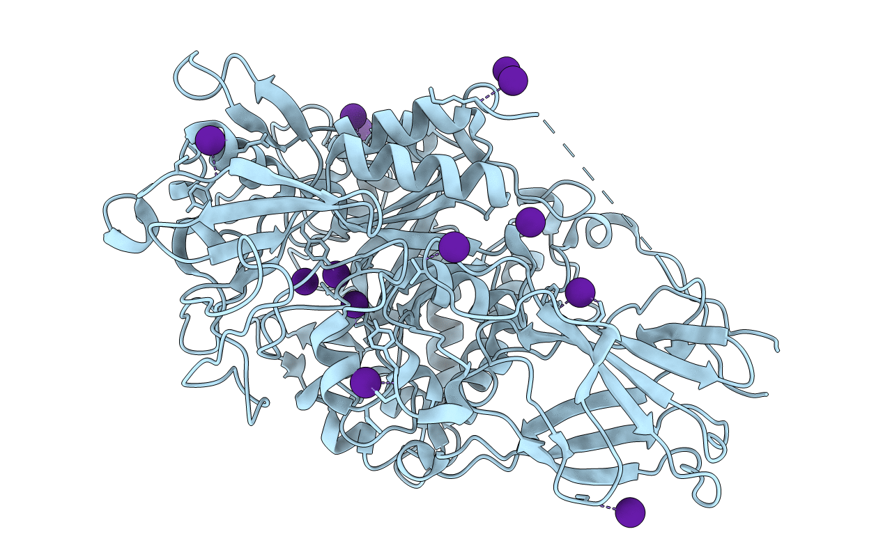 4TXG image
