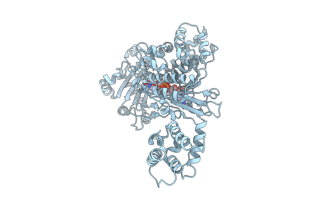 4TXI image