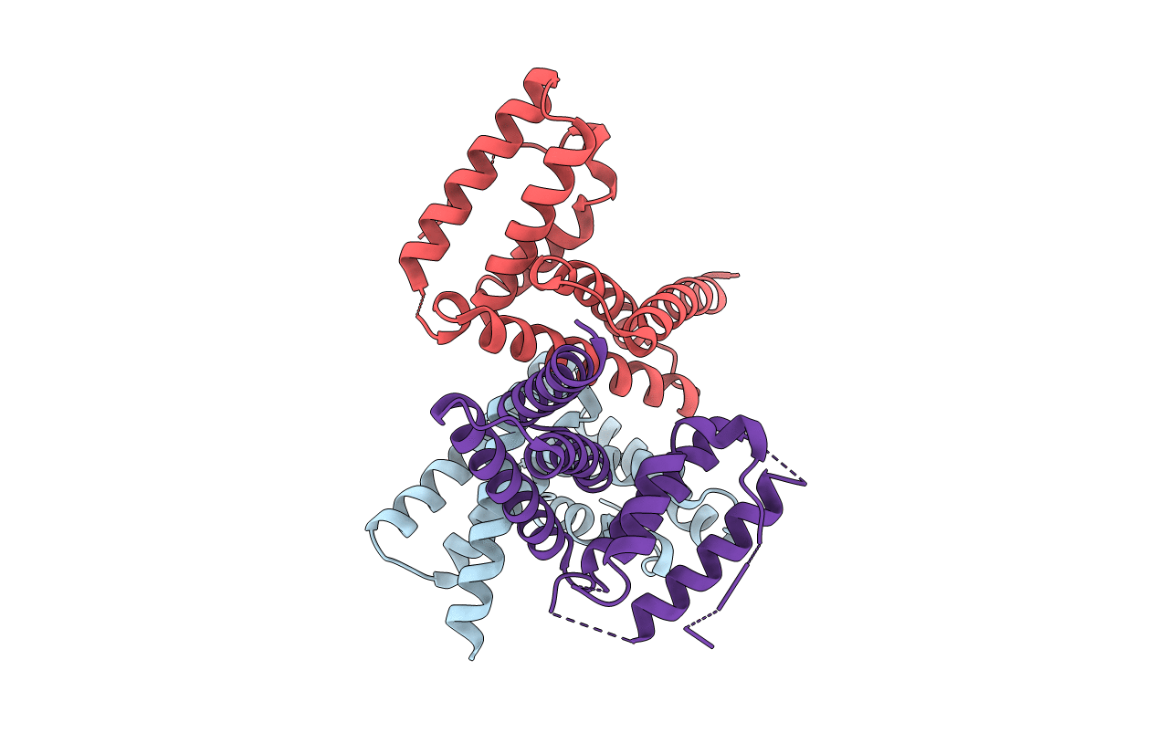 4TXP image