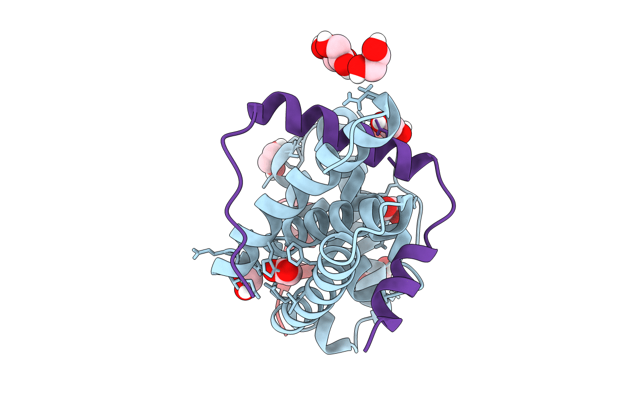 4TXR image