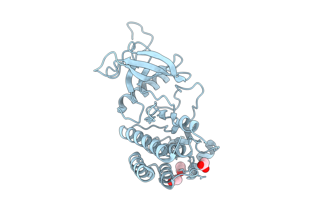 4TYG image