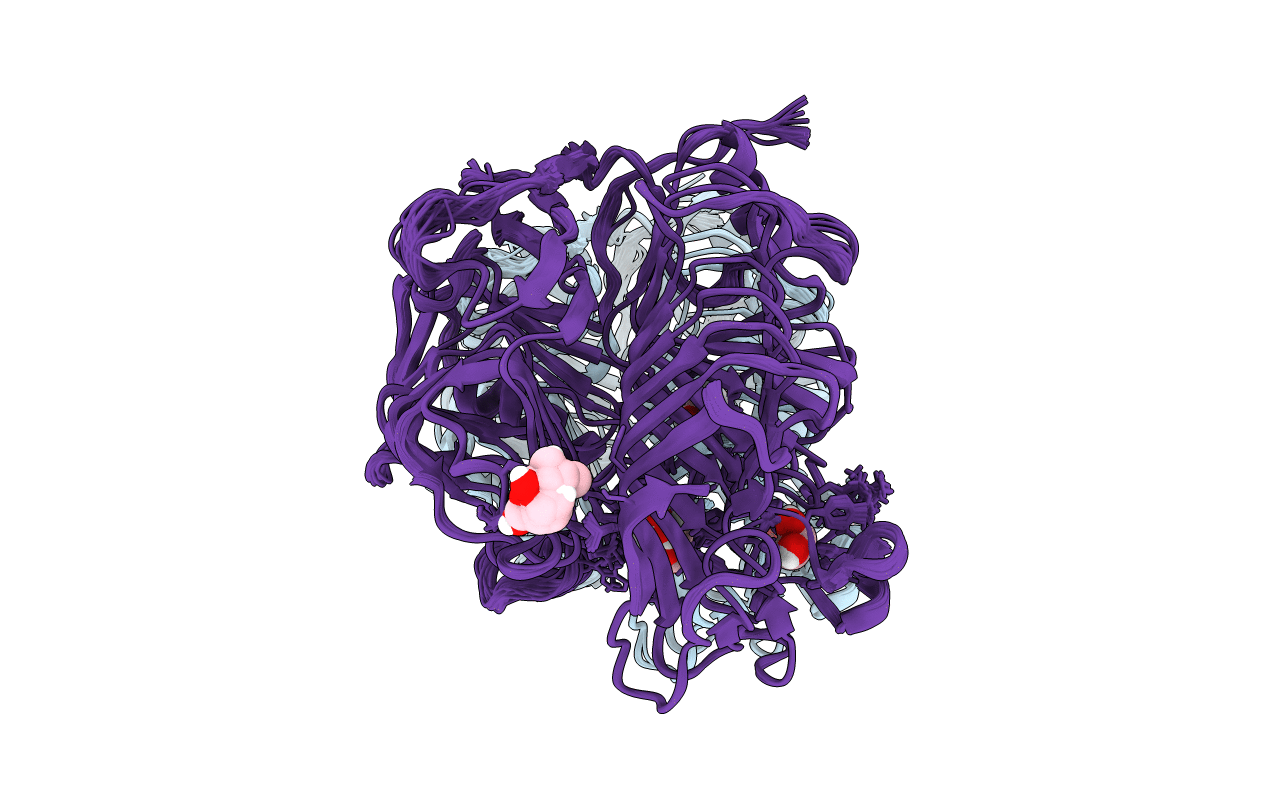4TYV image