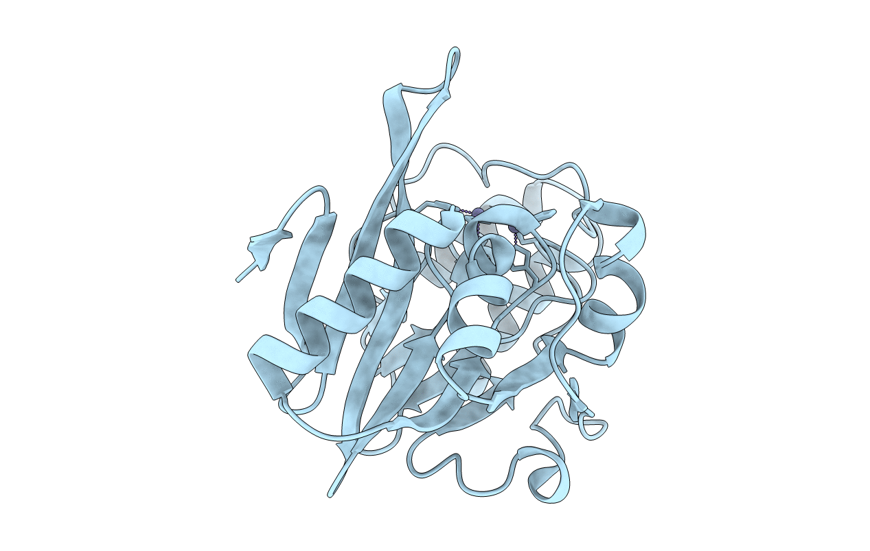 4TZF image