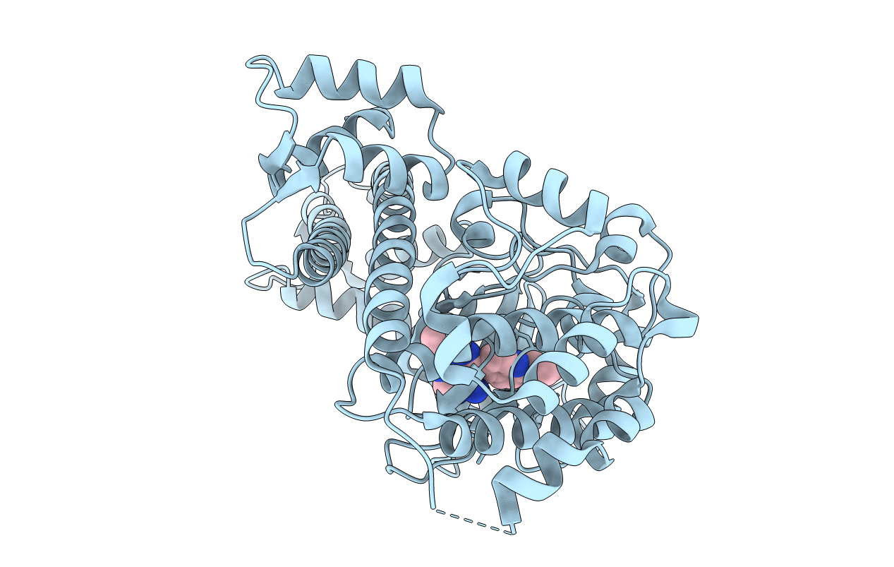 4TZR image