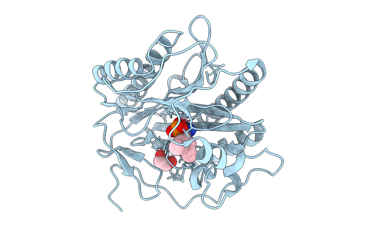 4u1b image