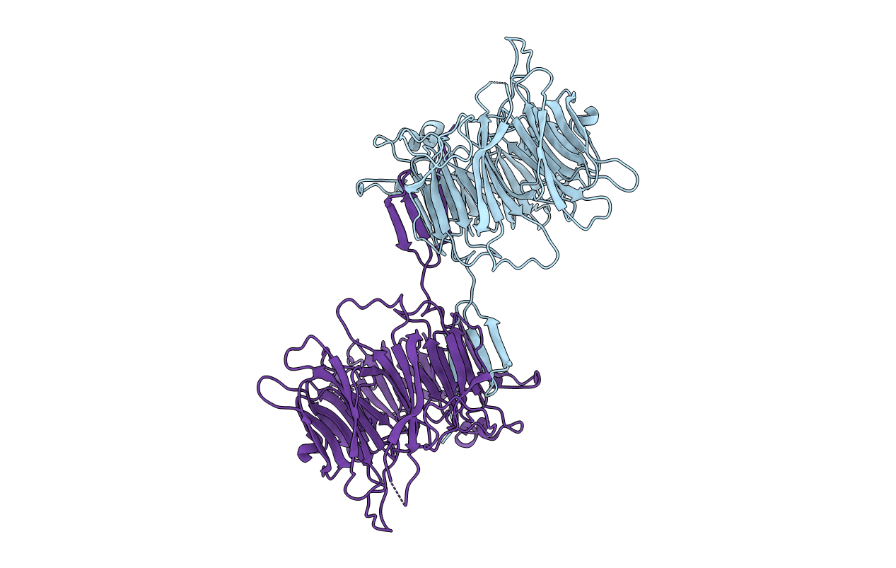 4U1F image