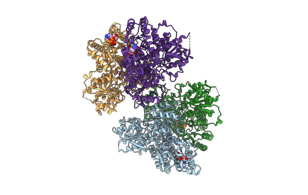 4U1R image