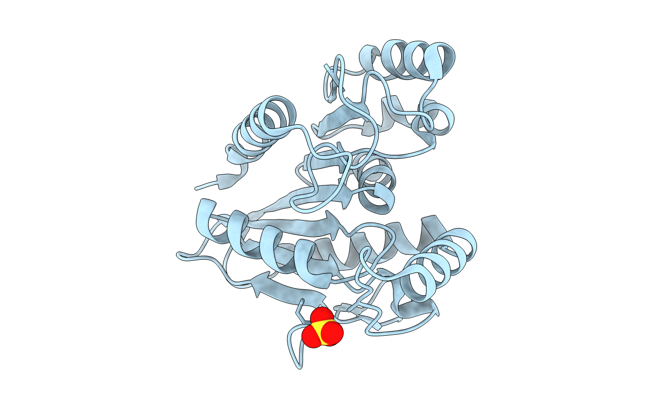 4U2C image
