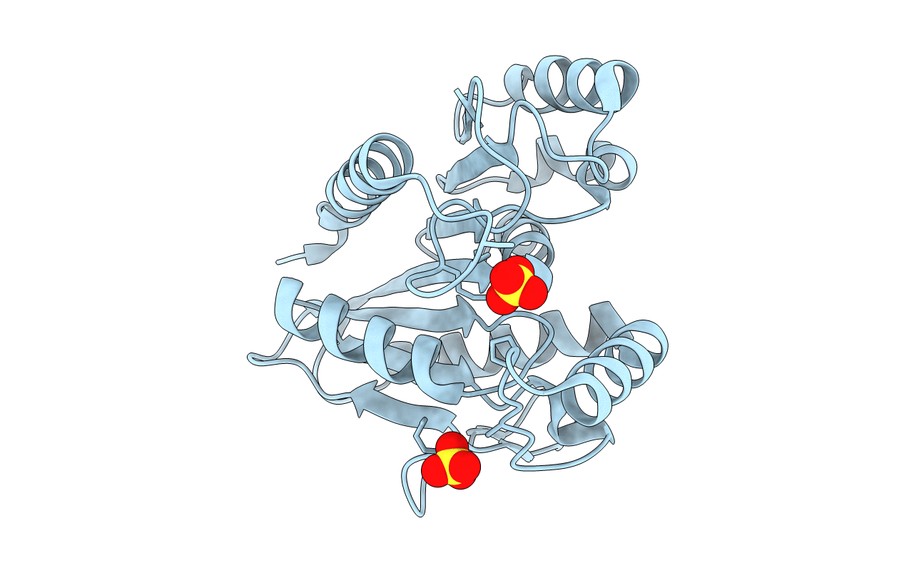 4U2D image