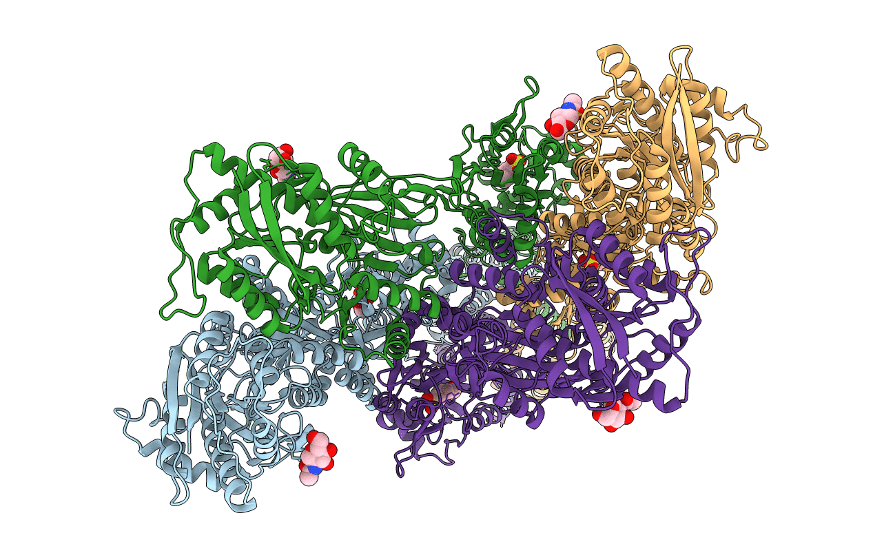 4U2P image