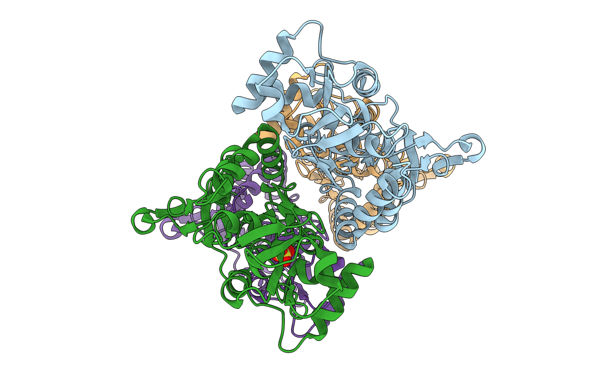 4U2R image