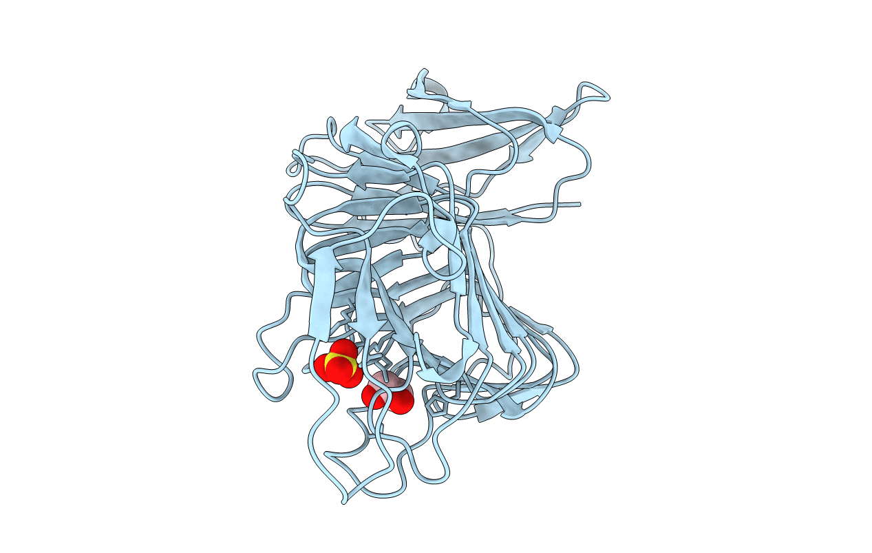 4U4B image