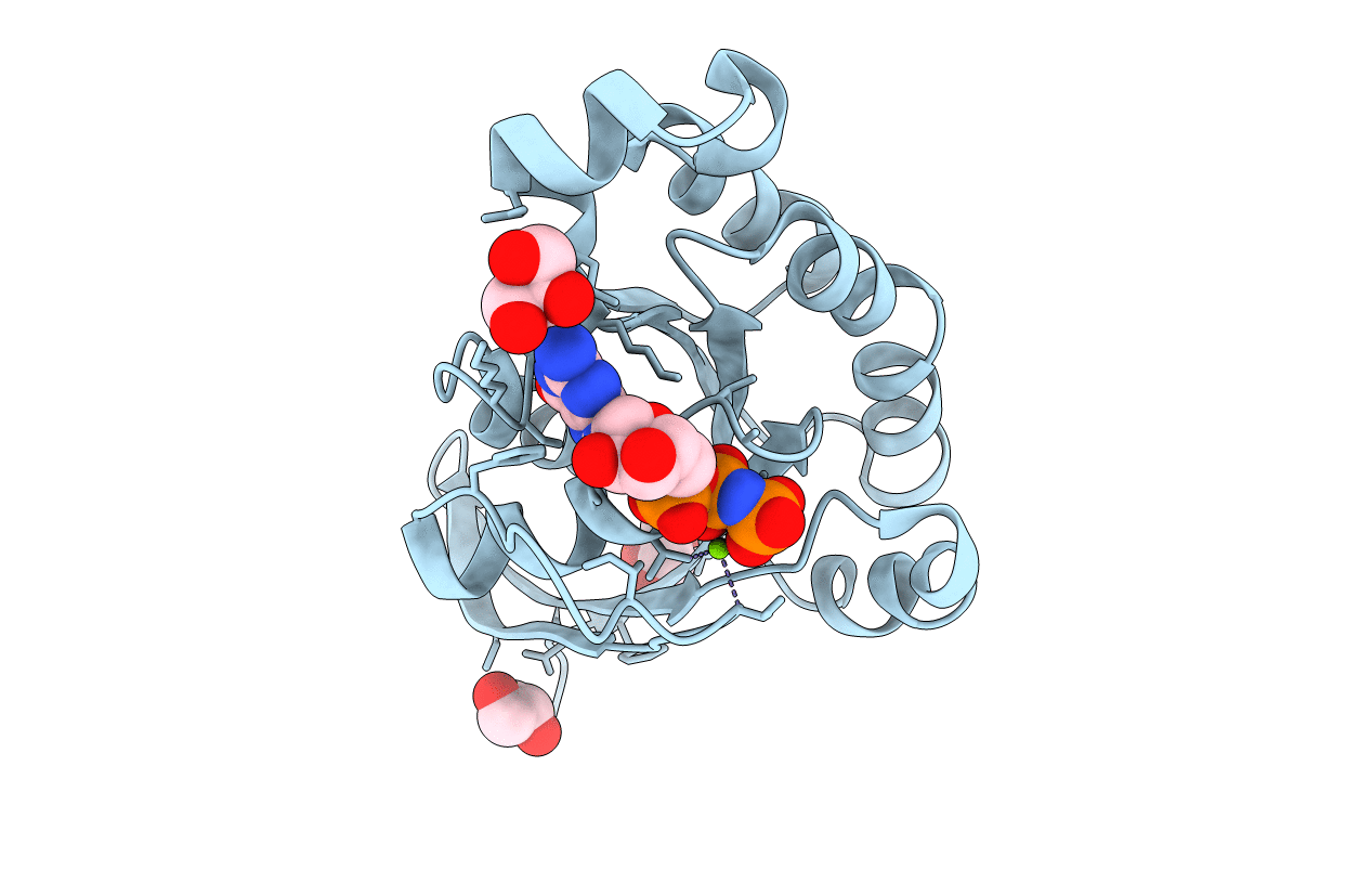4U5X image