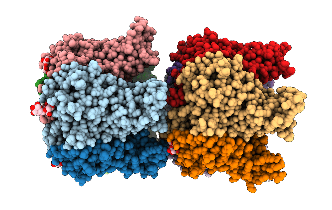 4U61 image