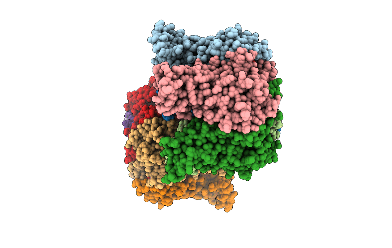 4U62 image