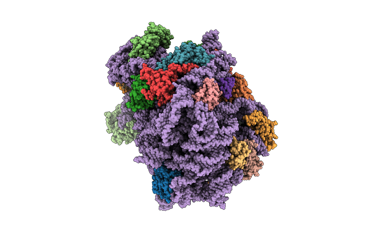 4U67 image