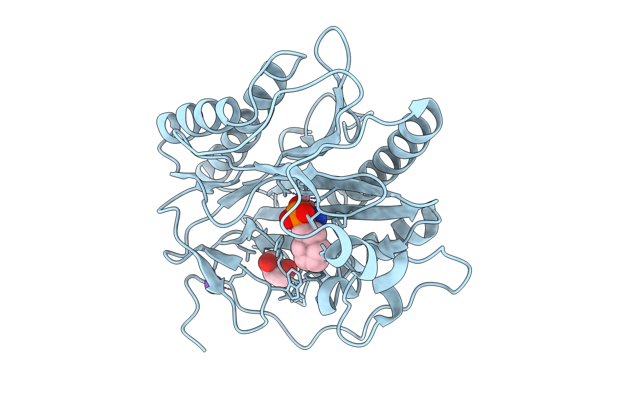 4u6c image