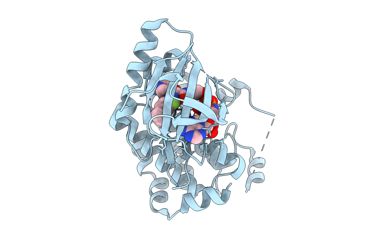 4U80 image