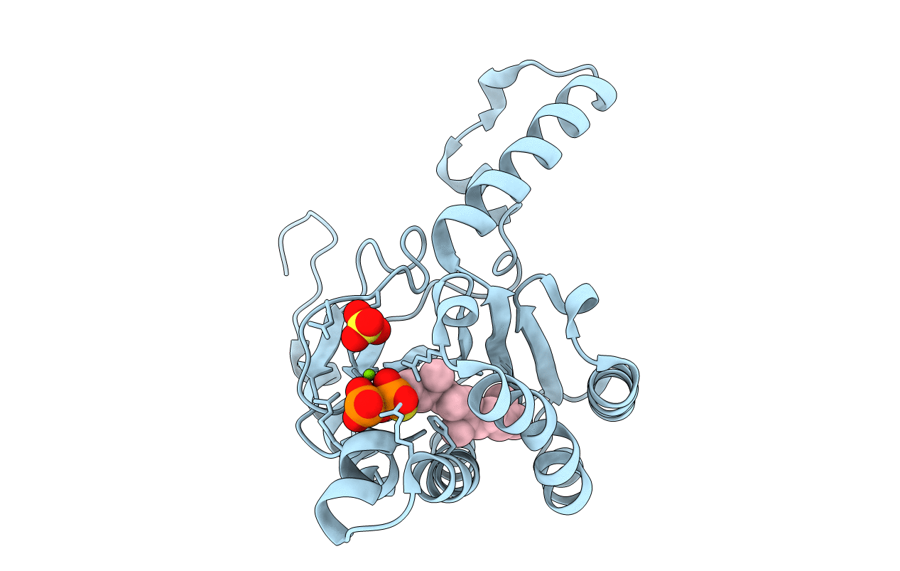 4U82 image