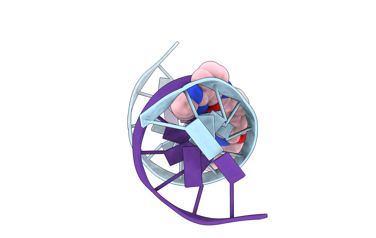 4U8B image