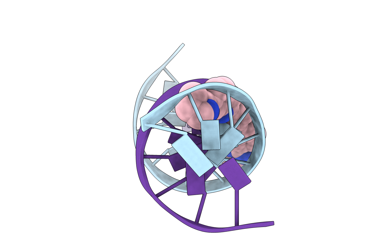 4U8C image