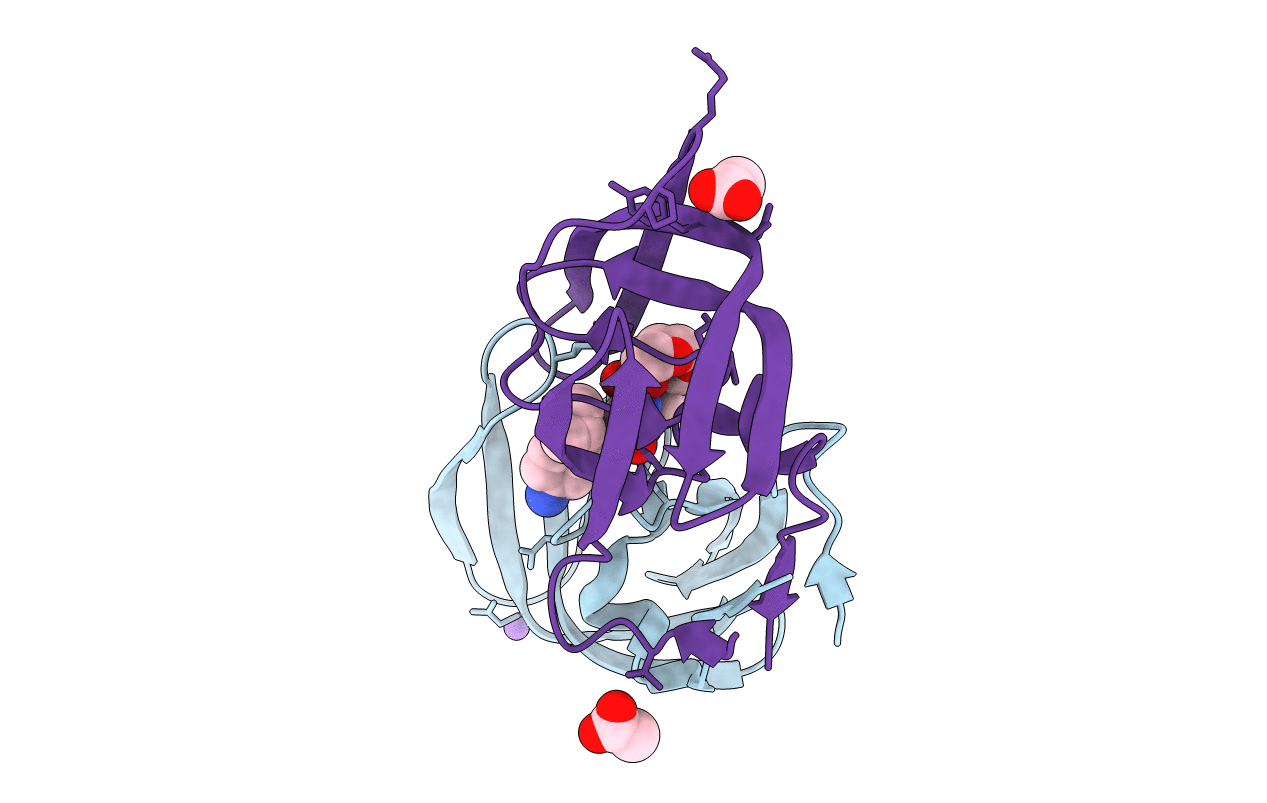 4U8W image